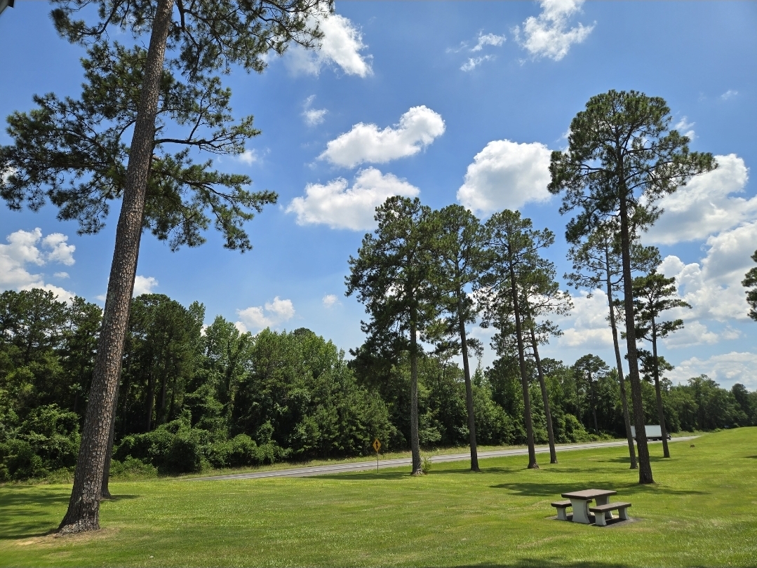 tempFileForShare_20250628-083455.jpg
